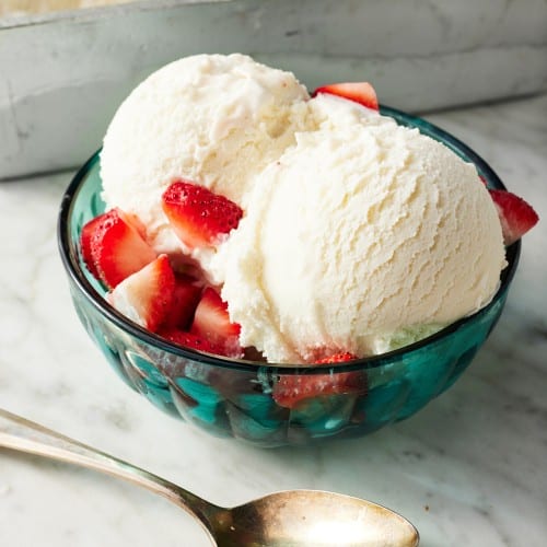 Homemade Vanilla Ice Cream Recipe – VeganFanatic.com