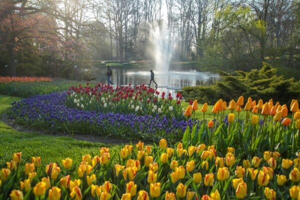 Most Beautiful Gardens