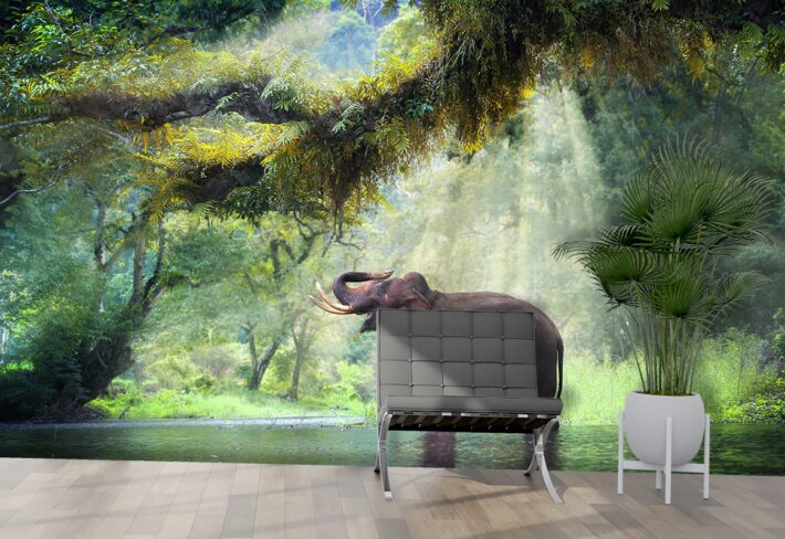 Majestic Elephant in Forest Wallpaper Mural