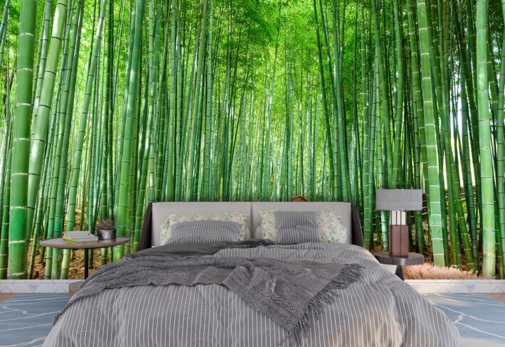 Bamboo Forest Wallpaper for Walls, Forest Bamboo Mural