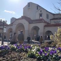 宝塚大劇場の前に咲くスミレの花。故春日野八千代さんの自宅から移植された＝兵庫県宝塚市で2024年1月7日午前10時36分、水津聡子撮影