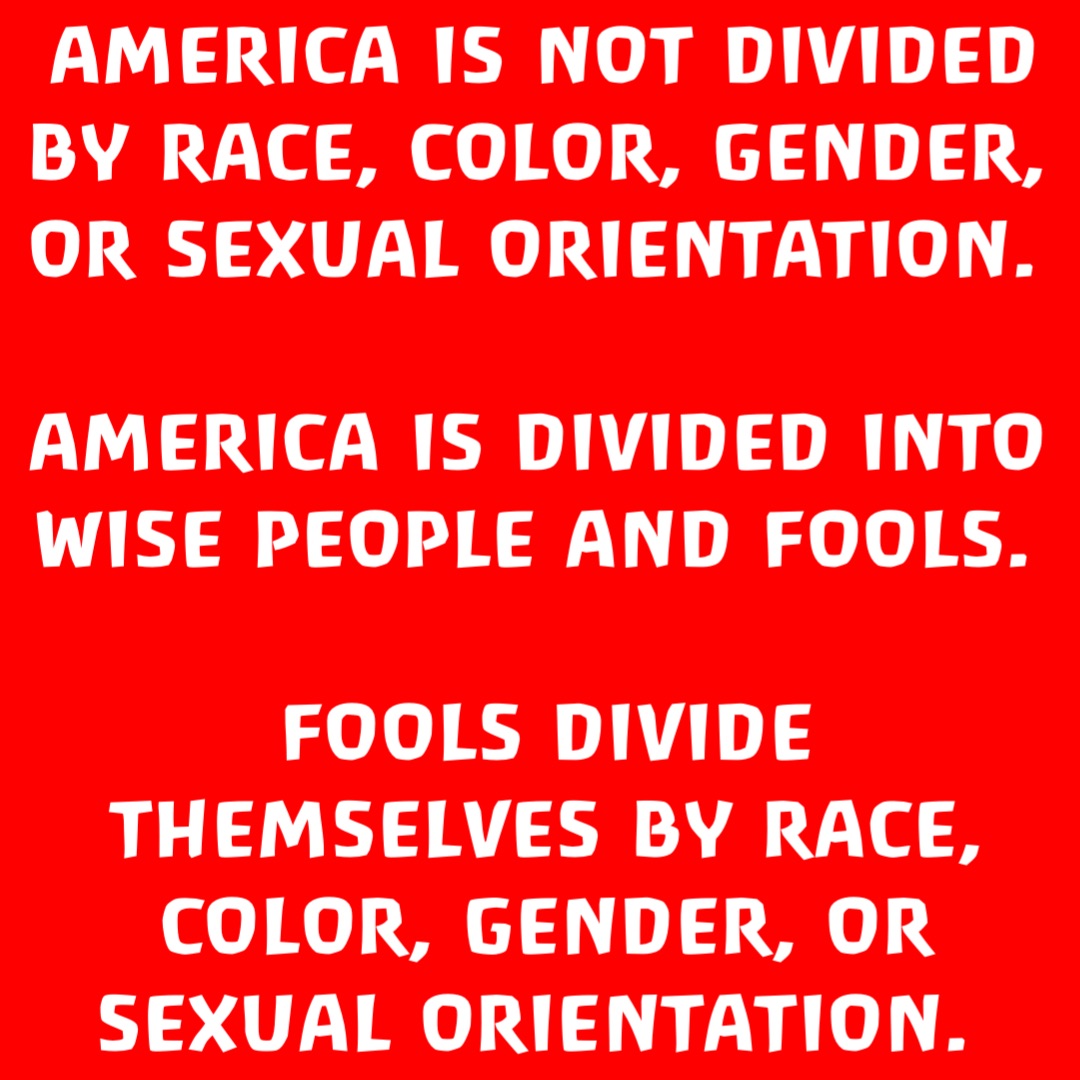 AMERICA IS NOT DIVIDED BY RACE, COLOR, GENDER, OR SEXUAL ORIENTATION.

AMERICA IS DIVIDED INTO WISE PEOPLE AND FOOLS.

FOOLS DIVIDE THEMSELVES BY RACE, COLOR, GENDER, OR SEXUAL ORIENTATION.