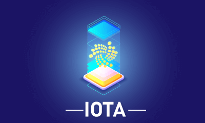 IOTA Training