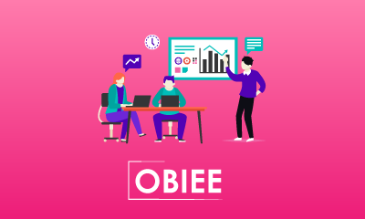 OBIEE Training