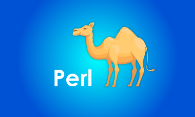 PERL Scripting Training