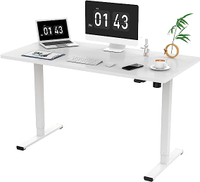 Sanodesk Electric Standing Desk