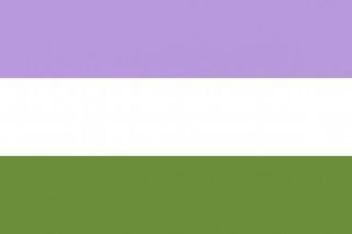 genderqueer flag