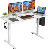 Stary  48 x 24 modern white electric standing desk