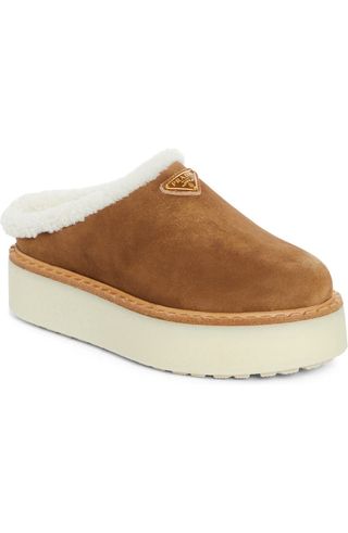 Evolve Genuine Shearling Clog