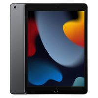 Apple iPad 10.2 (2021): $329.99$249 at Amazon