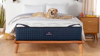 DreamCloud Luxury Hybrid Mattress