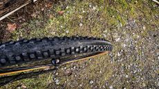 Profile of the Rene Herse Corkscrew Climb gravel tyre