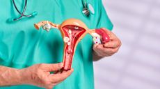 Doctor in green scrubs holding a model of a uterus