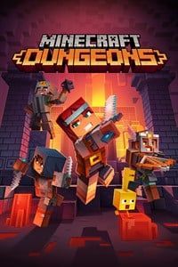 Minecraft Dungeons Reco Box