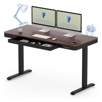 Flexispot Walnut standing desk with drawer