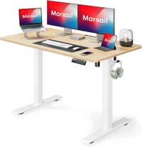 Marsail Electric Standing Desk with LED Lights