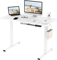 Flexispot EF1 standing desk