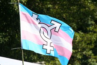 transgender flag