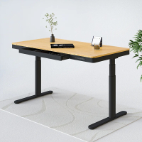 Flexispot  Q8 Standing Desk