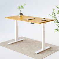 Flexispot E8 Standing Desk with bamboo top