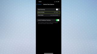 iOS Cellular Data Options with Voice & Data highlighted