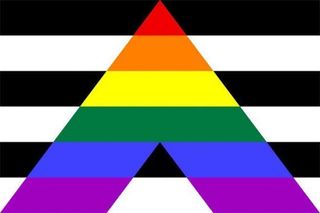 straight ally flag