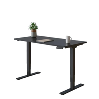 Flexispot E5 standing desk with maple top