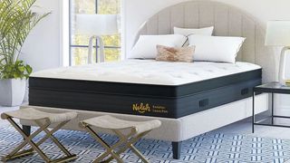 Nolah Evolution 15 mattress