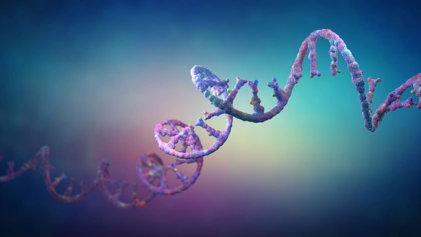 Ribonucleic acid strands consisting of nucleotides important for protein bio-synthesis - 3d illustration