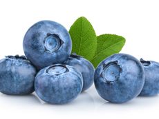 Close Up Of Six Camellia Blueberries