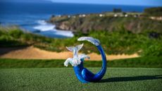 The Sentry trophy pictured with the ocean in the background