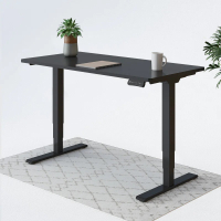 Flexispot E5 standing desk with chipboard top