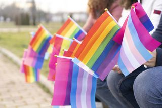 pride flags: transgender, bisexual, and traditional pride flags