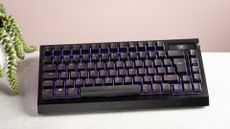 Razer BlackWidow V4 Pro 75% front view on desk