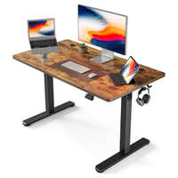 Fezibo  electric standing desk