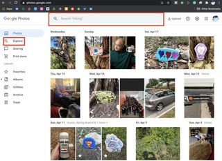 How To Copy Text Image Google Photos Web 1