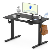 Flexispot EN1 Electric Standing Desk