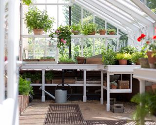 alitex greenhouse shelving