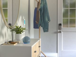 A grey Amazon echo dot smart speaker on an entryway sideboard next to a potted houseplant