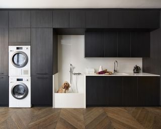 Boot room idea with washing machine, butler sink and dog shower