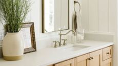 Small bathroom with large plant and white countertops