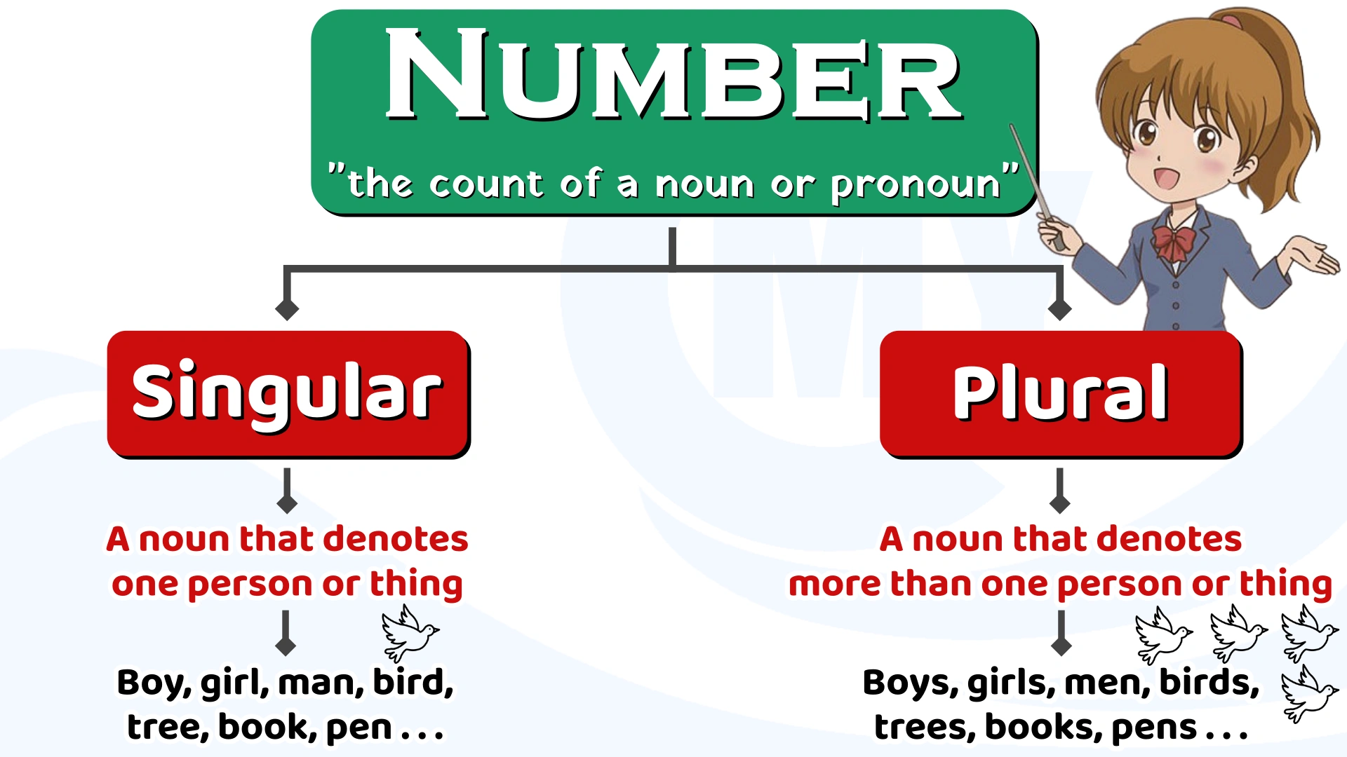 Singular and Plural Nouns in English Grammar  Number