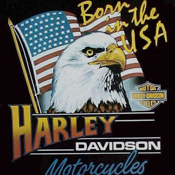 BORN IN THE USA Motorcycle Cross Stitch Pattern***LOOK***Buyers Can Download Your Pattern As Soon As They Complete The Purchase