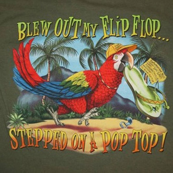 Blew Out My Flip Flop Cross Stitch Pattern***L@@K***Buyers Can Download Your Pattern As Soon As They Complete The Purchase