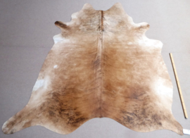 Beige-Caramel Brindle Cowhide L/XL (213)