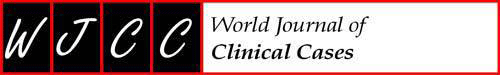 World Journal of Clinical Cases logo