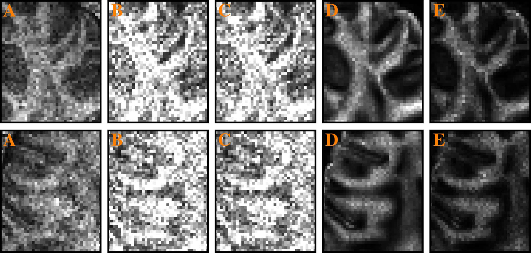 Fig. 7.