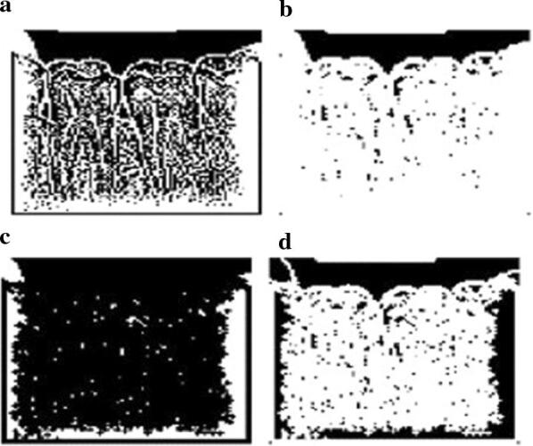 Fig. 4