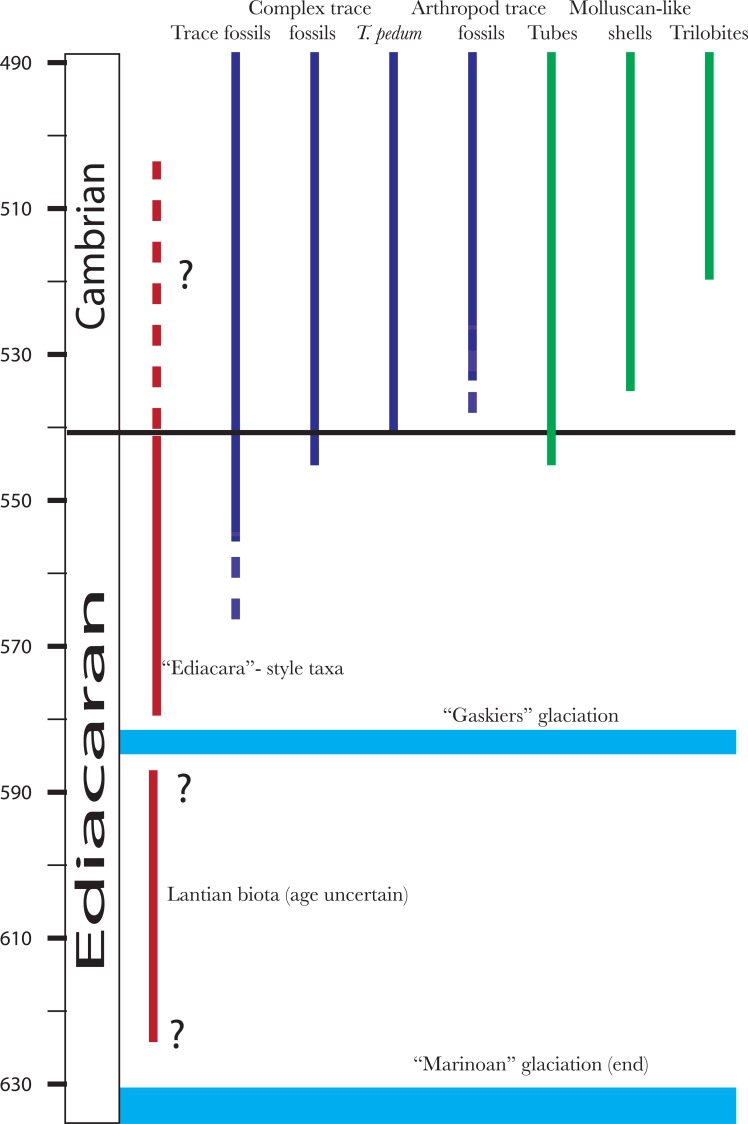 Fig. (1)