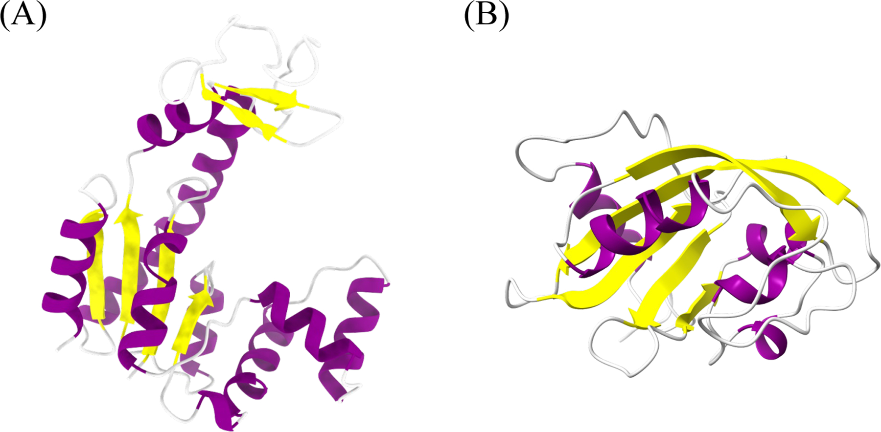 Figure 2: